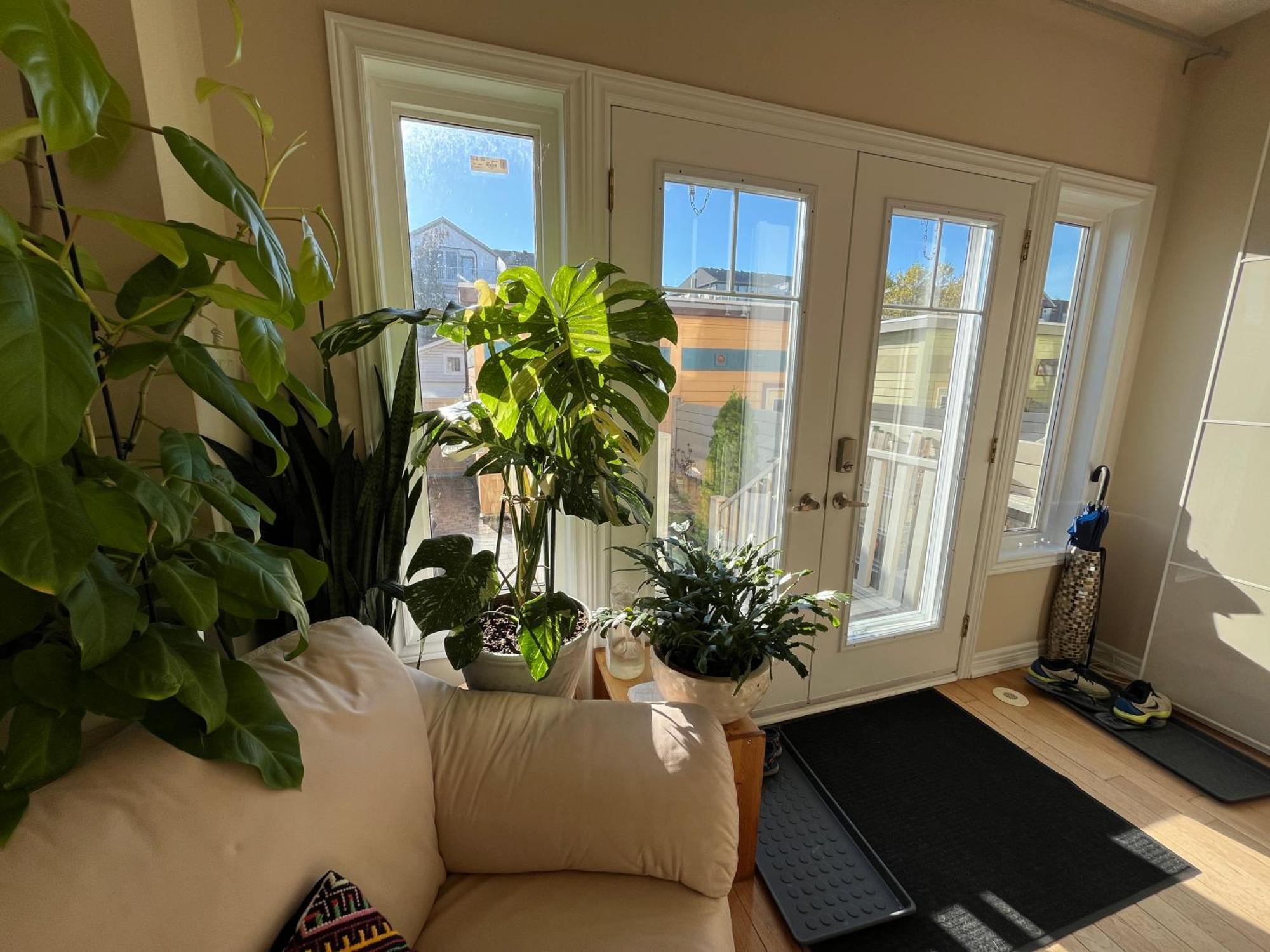 Stunning Rooms In Townhouse Across The Beach Toronto Kültér fotó